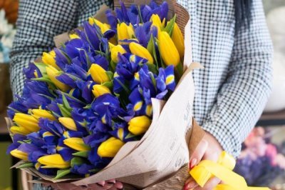 蓝色鸢尾花的花语,寓意素雅大方、暗中仰慕等