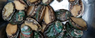 鲍鱼洗净后如何保鲜,可以放入冰箱中进行冷藏或冷冻