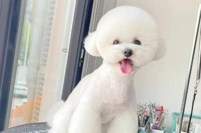 投资小的冷门暴利行业,根据实际情况谨慎选择