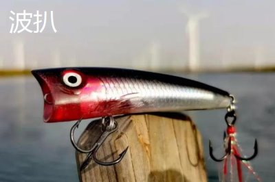 容易让鲈鱼上钩的饵料,河虾是鲈鱼的主要食物