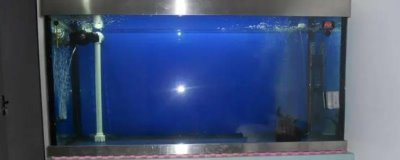 如何确定鱼缸防虹吸孔位置,和主缸水位有关