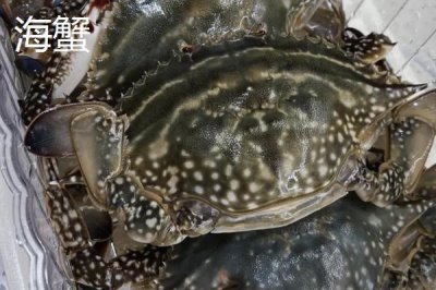 河蟹和海蟹哪个更好吃，河蟹肉质更为细嫩、紧实