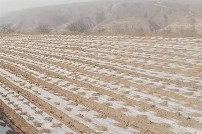 双色地膜的好处，可保墒保肥、减轻虫害等