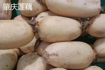 莲藕的产地有哪些,洪湖、新垦和襄陵的莲藕出名