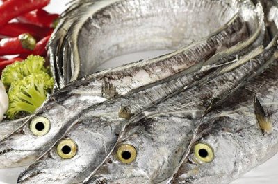 带鱼是什么鱼，因体型侧扁如丝带而得名