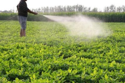 根外追肥的优点,肥料用量小且损失少