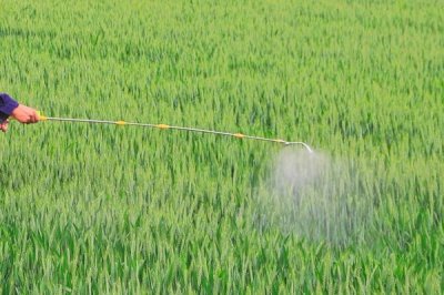 氯氰菊酯乳油怎么使用，针对不同害虫的使用方法不同