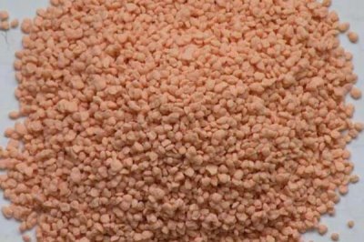 植物磷肥过多的危害,会出现代谢紊乱、果实过早成熟等问题