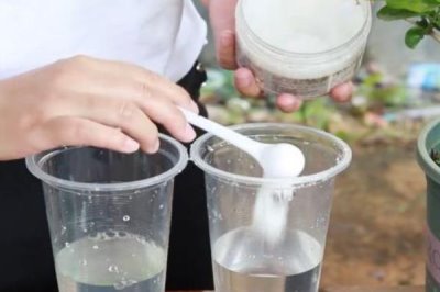 植物表面保护防冻专用剂有什么特点,方便使用、有效期长、功能多样