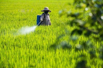 枯草芽孢杆菌对农作物有什么作用,有抗拮、杀菌溶菌的作用