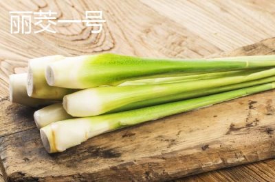 种植茭白的环境要求，温度要达到24℃左右