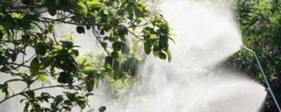 吡虫啉70兑水的使用方法,2-3g兑水45-60公斤