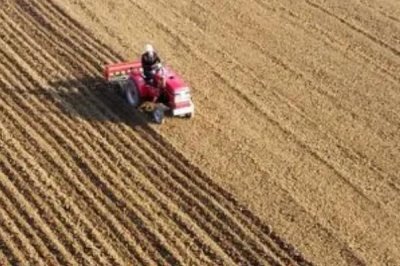 小麦种植时间和方法,播种时间会受到各地气候的影响