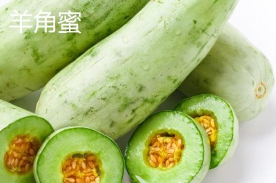 南方种甜瓜适合种什么品种,香妃、橙露、羊角蜜等品种皆可选择