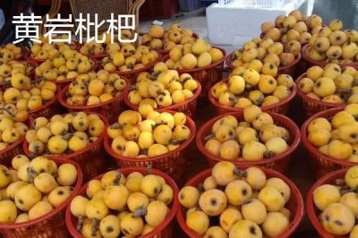 浙江省诸暨市的特产,同山烧被誉为“江南小茅台”