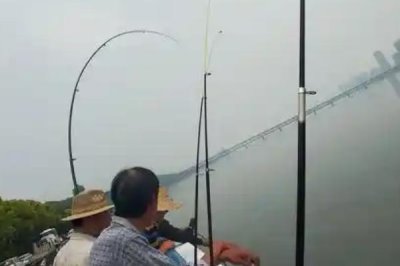 江鼠的产地,广泛分布在长江至珠江各水系