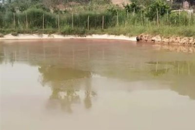 农村鱼塘养鱼技术,位置要选在水源附近