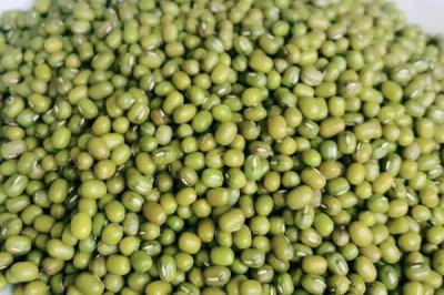 绿豆的形态特征，豆荚呈线状圆柱形、种子呈短圆柱形
