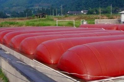 小型养猪场猪粪处理，可以把猪粪晒干或当有机肥料