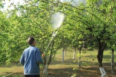 有哪些叶面肥，常见的有尿素、过磷酸钙等