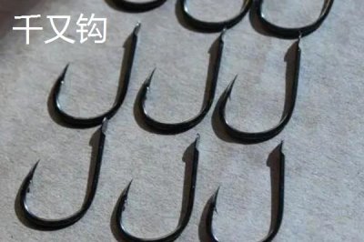 伊豆几号钓鲫鱼合适,建议用1~5号