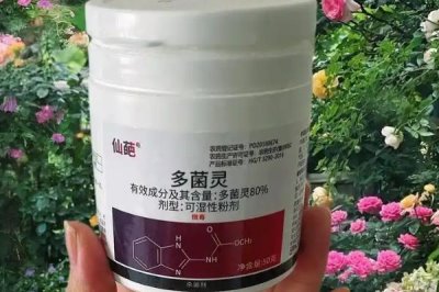 使用多菌灵要注意什么,蔬菜收获前5天需停用