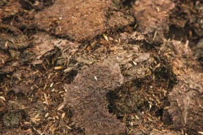 农家肥和化肥有什么区别,来源、作用和肥效均不同