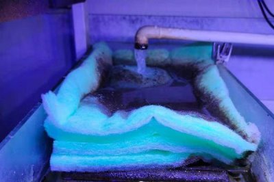 鱼缸过滤棉多久洗一次,脏了之后及时清洗即可