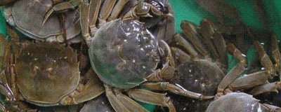 大闸蟹的产地，阳澄湖、固城湖、太湖等地方均有产出