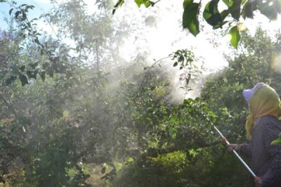 生物农药的简介，是指利用生物活体或代谢产物去杀灭、抑制有害生物的制剂