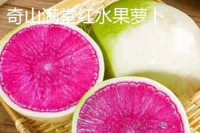 水果萝卜品种,吃起来口感更像是水果