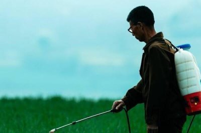 井岗霉素的防治对象,可防治立枯病,枯萎病、纹枯病等