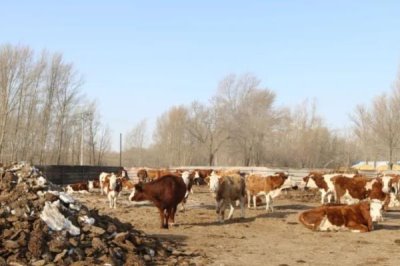 如何规划50亩农场，首先要确定1个恰当的主题