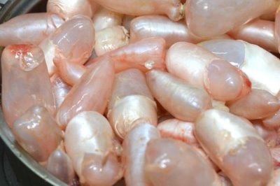 鱼的特征,都用鳃呼吸的