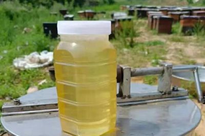 洋槐蜜与椴树蜜哪个更好,洋槐蜜的口感和色泽略优