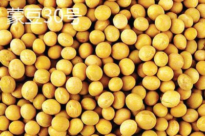 内蒙古大豆品种，常见的有这8种