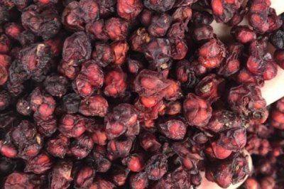 五味子育苗管理技术,可春播或秋播