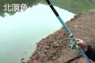 路亚竿十大品牌，禧玛诺、达亿瓦、阿布等品牌榜上有名