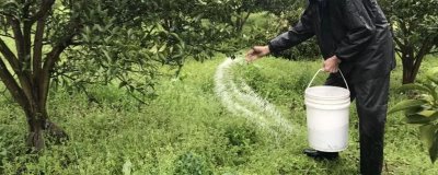 果树秋季施肥的好处,有助于较大限度的吸收营养