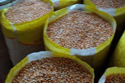 选购玉米种的方法,可以购买通过审定、抗病或耐病、适应性广的种子