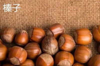 板栗与榛子的区别,科属、外形和味道均不同