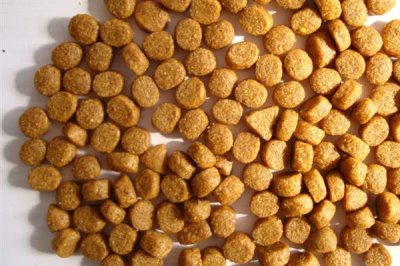 什么是膨化饲料，是用挤压膨化技术制成的颗粒饲料