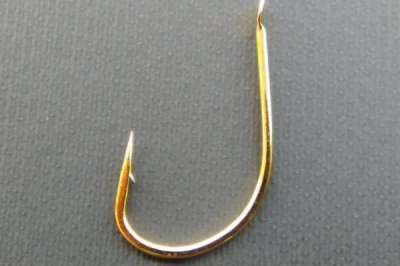 冬钓黄辣丁用什么饵料,使用腥饵效果会更佳