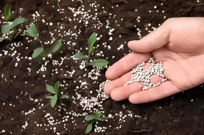 生物肥与水溶肥有什么区别,定义、成分、用法均不同