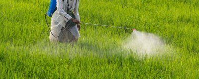 甲维高氯氟的杀虫原理,原理为阻碍害虫的运动神经信息的传递