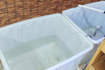 养鱼如何按先后顺序使用老三样，换水、升温后再下盐