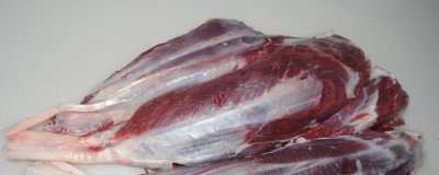 牛体内有多少牛腱子,4条腿上各有1个