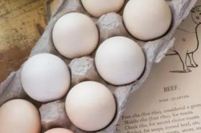 哪种鸡蛋无法孵出小鸡，寡鸡蛋、双黄蛋无法孵化