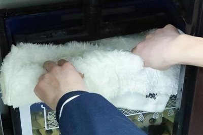 鱼缸过滤棉多久洗一次,脏了之后及时清洗即可