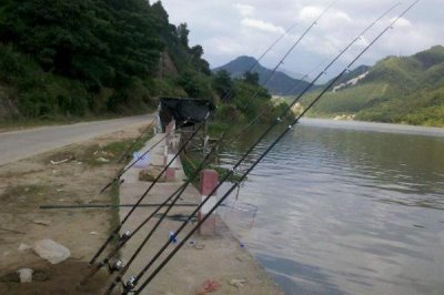 怎么钓甲鱼,对鱼竿要求不高